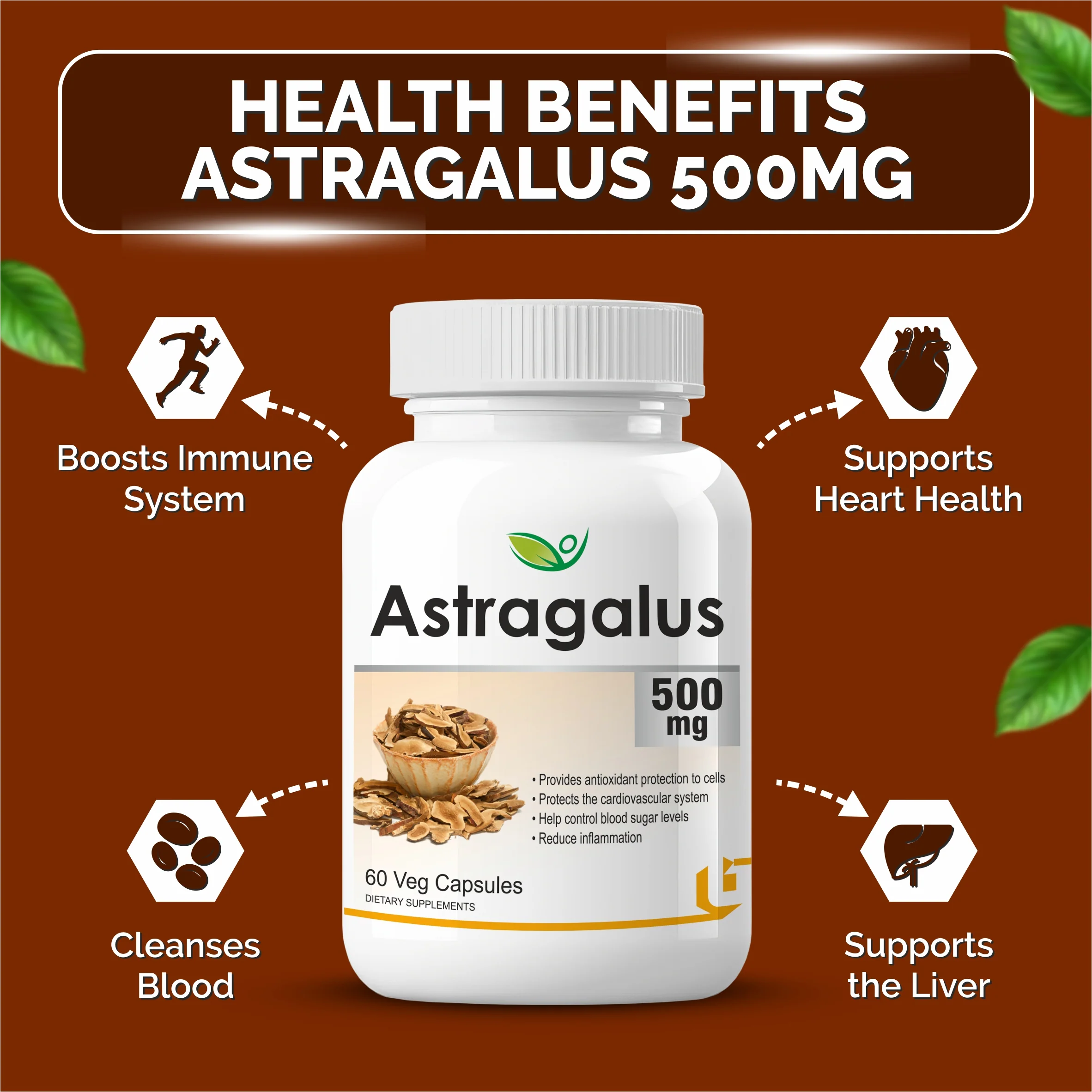 Biotrex Astragalus 500mg Supplement - 60 Veg Capsules - Image 3