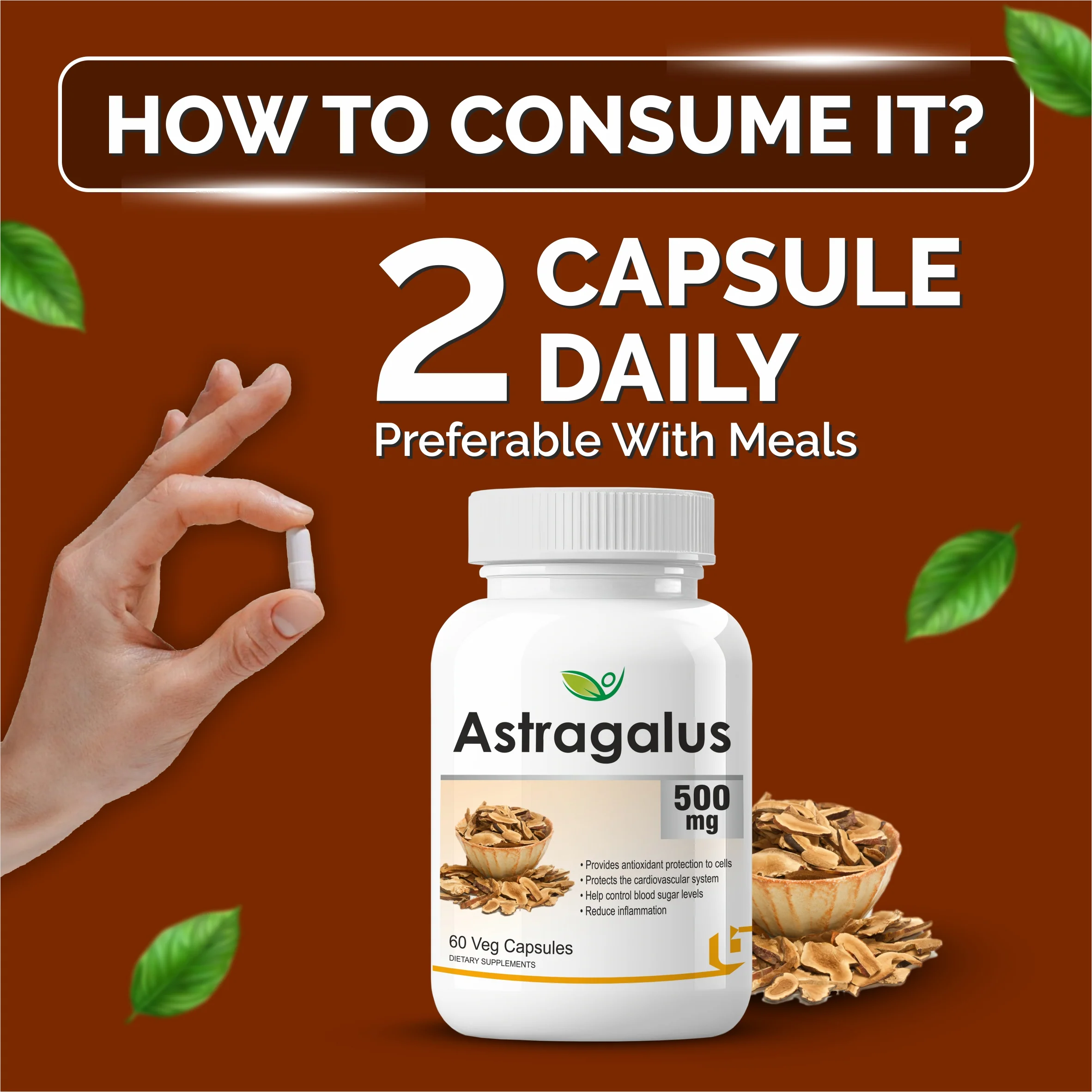 Biotrex Astragalus 500mg Supplement - 60 Veg Capsules - Image 4
