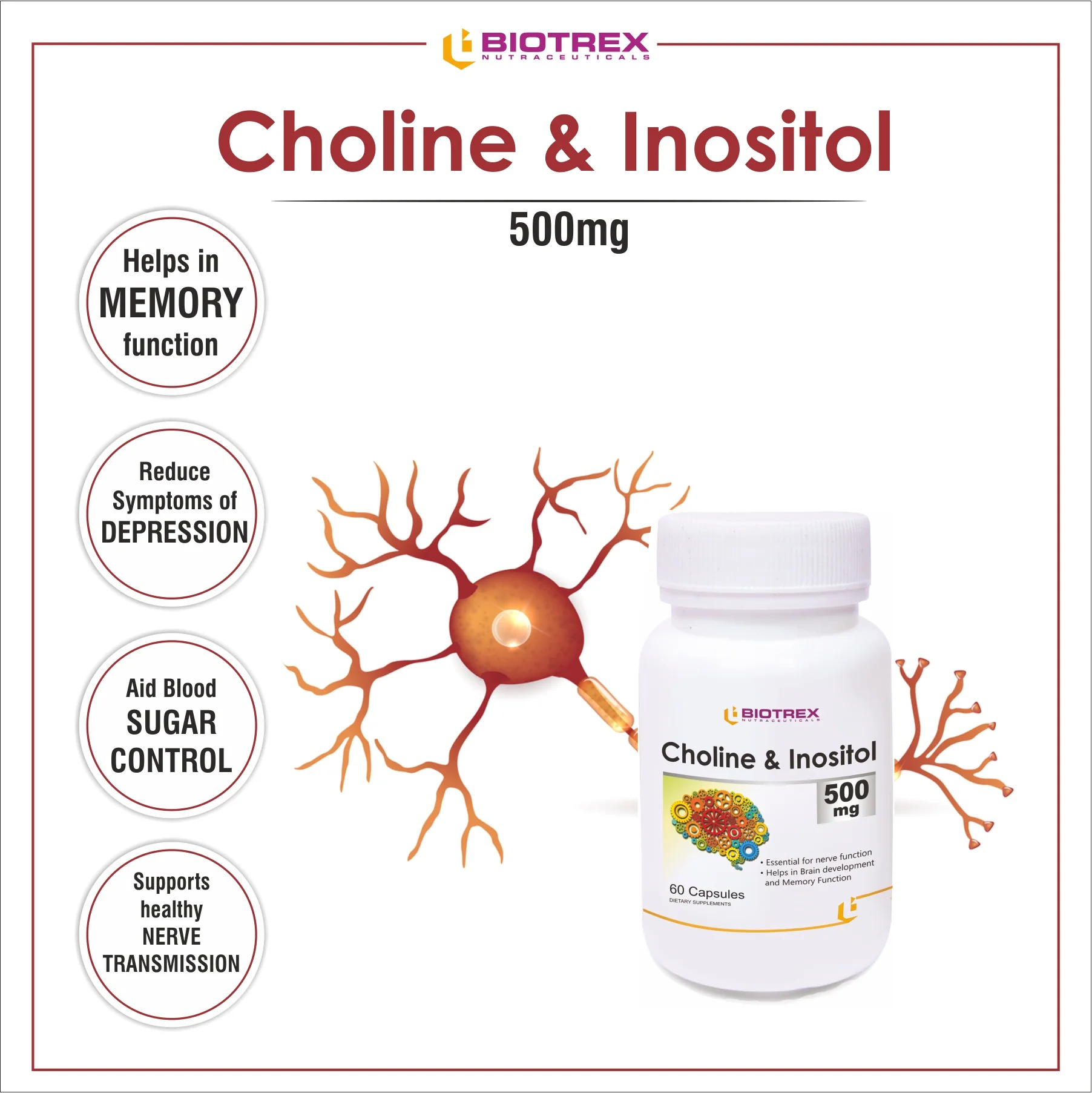 Biotrex Choline & Inositol 500mg - 60 Capsules - Image 8