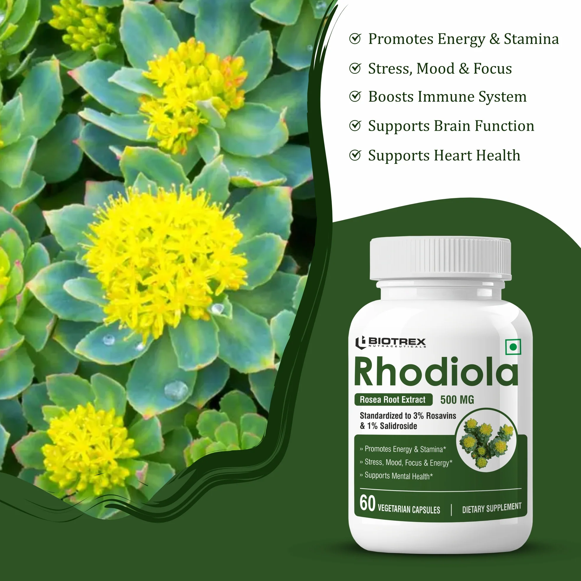 Biotrex Rhodiola 500mg - 60 Capsules - Image 3