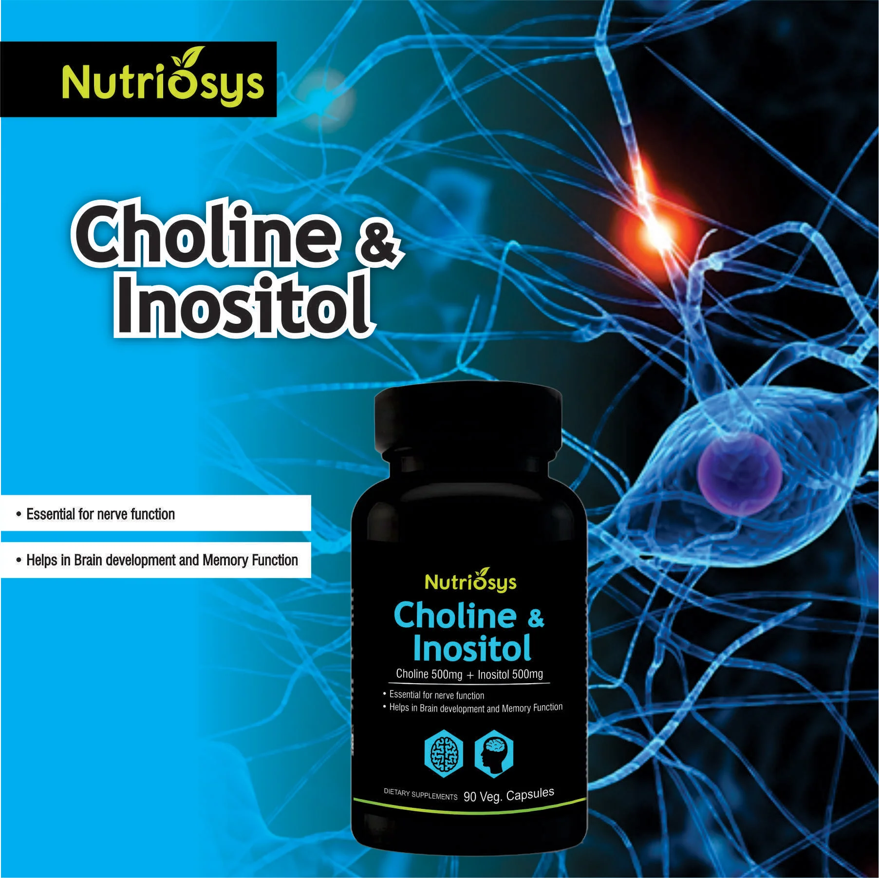 Nutriosys Choline & Inositol 500mg - 90 Capsules - Image 4